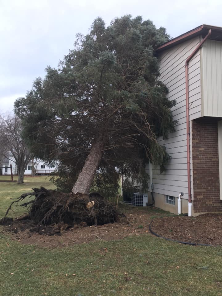Emergency tree service Grand Island NY