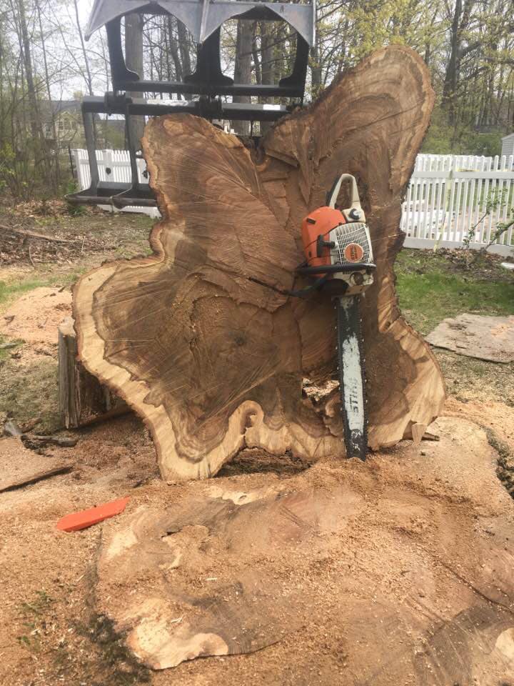 Tree removal Grand Island NY