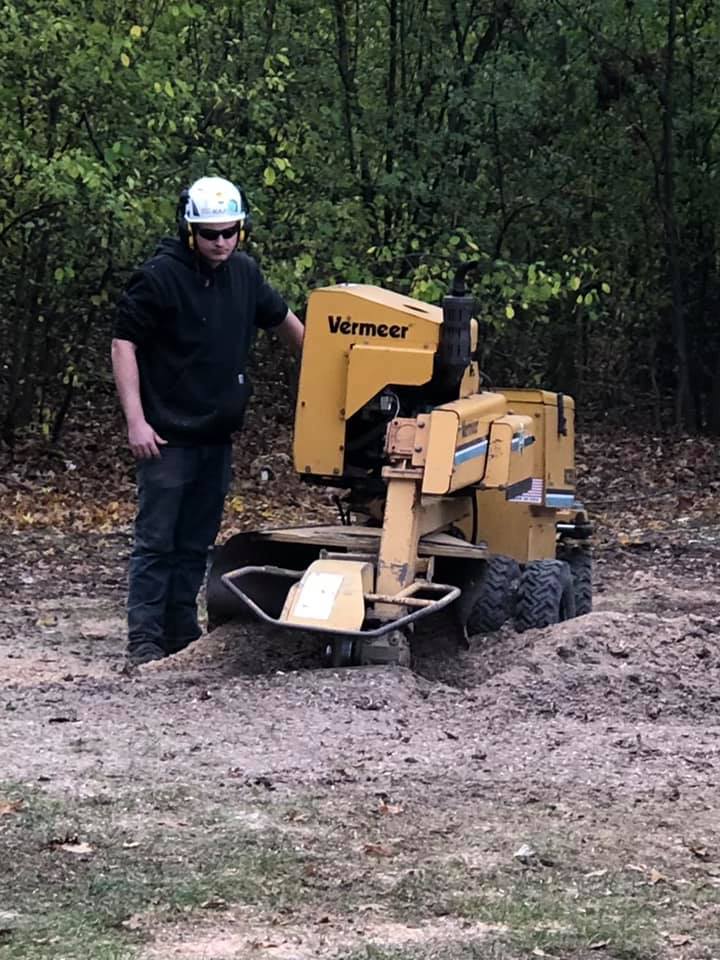 Stump grinding Grand Island NY