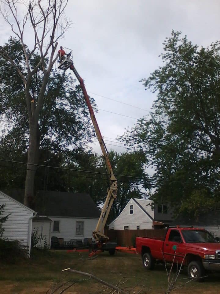 Tree trimming Grand Island NY